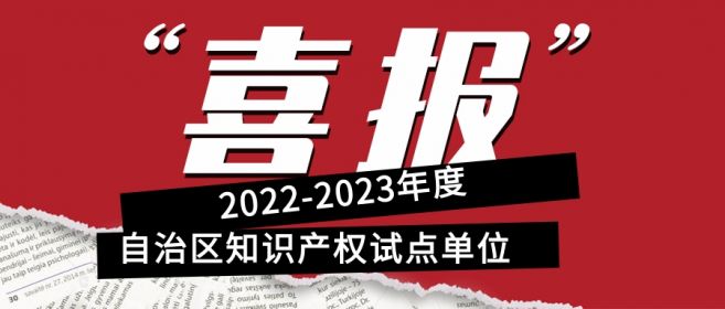 喜報(bào)！寧夏盾源聚芯獲批“2022-2023年度自治區(qū)知識(shí)產(chǎn)權(quán)試點(diǎn)單位”